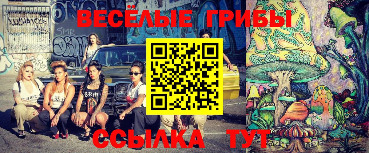 Псилоцибиновые грибы мицелий Можайск
