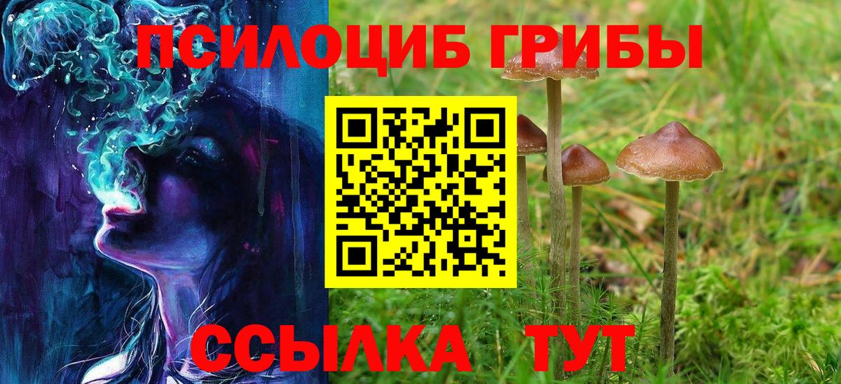 Галлюциногенные грибы ЛСД  Вход с VPN  Можайск  Псилоцибиновые грибы Psilocybine cubensis 